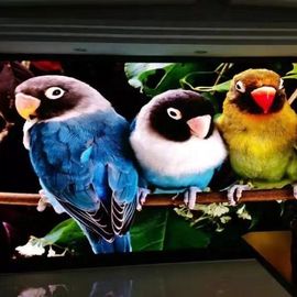 Quadros de avisos video conduzidos ultra finos P1.667 P1.25 Rgb interno do vídeo de cor completa da exposição de parede