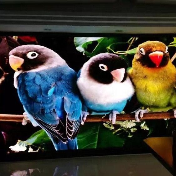 Quadros de avisos video conduzidos ultra finos P1.667 P1.25 Rgb interno do vídeo de cor completa da exposição de parede